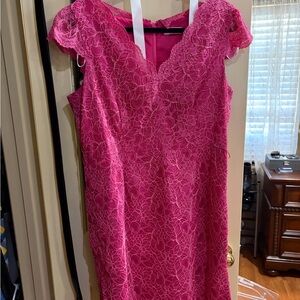 Calvin Klein Lace Dress